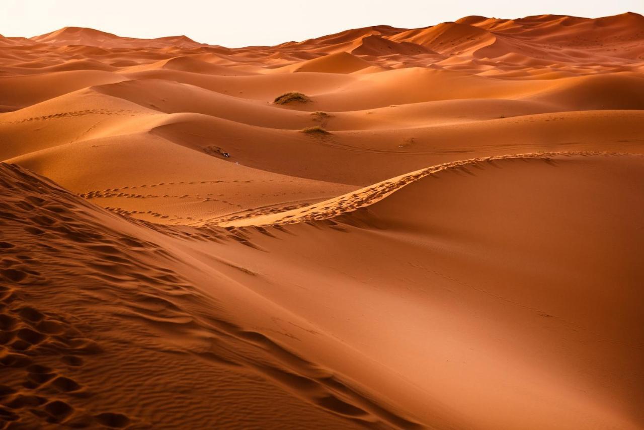 Paradis Touareg Zagora Exterior foto